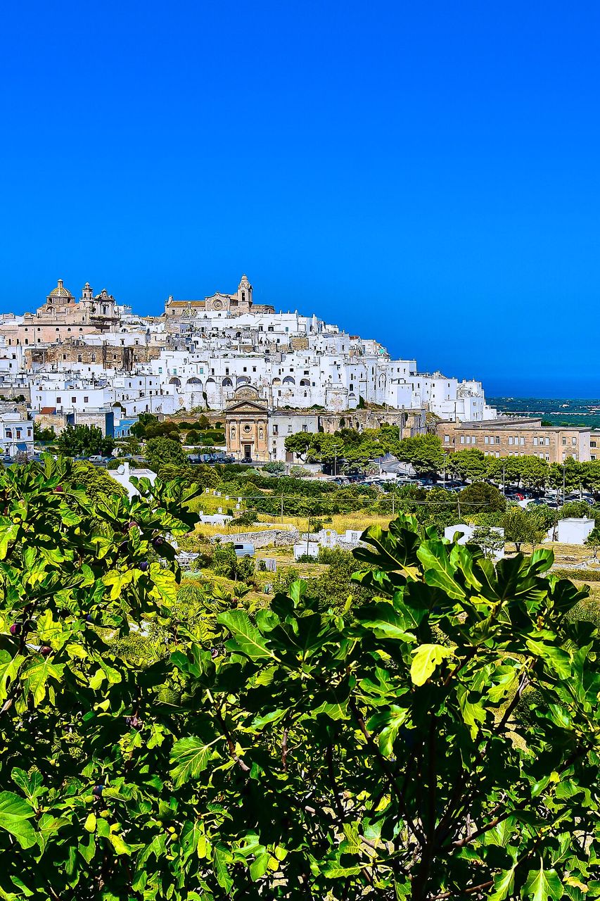 Trullo Flamingo · Villa con piscina privata a Carovigno, Puglia, (Puglia)