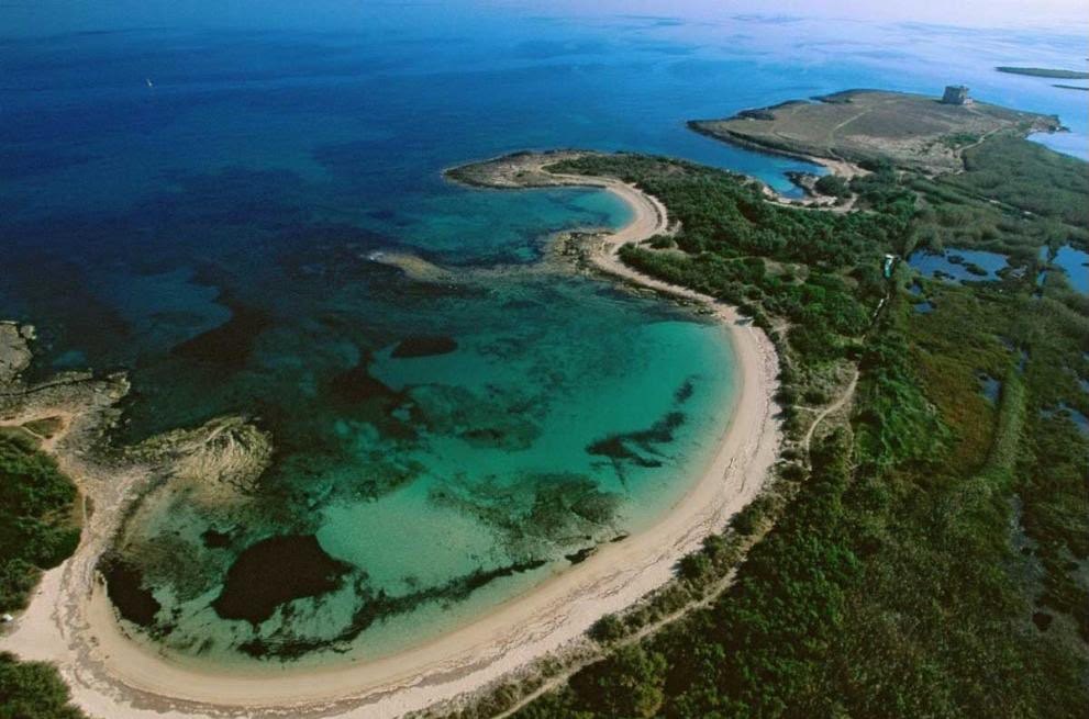 La spiaggia arcuata di Punta Penna Grossa nella riserva di Torre Guaceto, vista dall&rsquo;alto